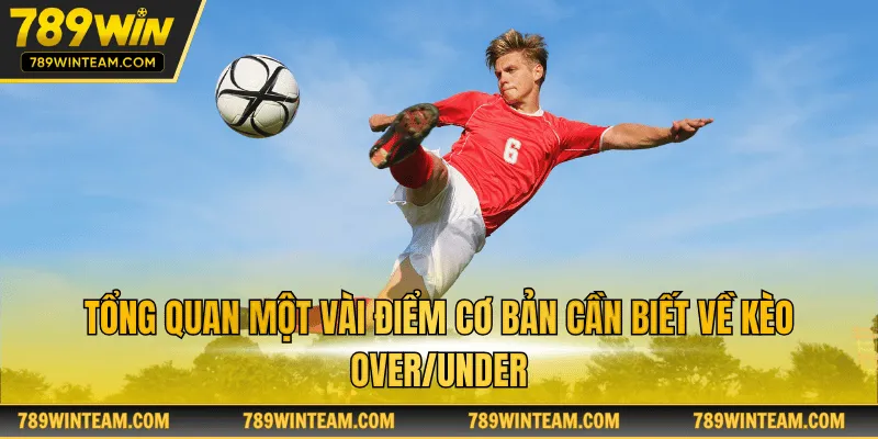 Tổng quan một vài điểm cơ bản cần biết về kèo Over/Under